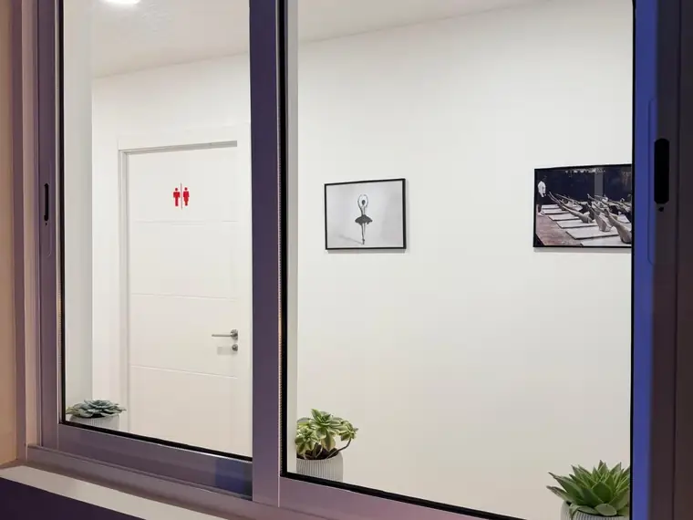 Detalle del interior del estudio con plantas junto a la ventana